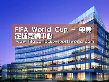 展示五