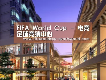 展示一(图1)