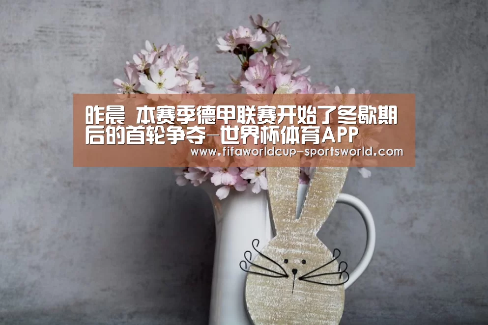 世界杯APP下载