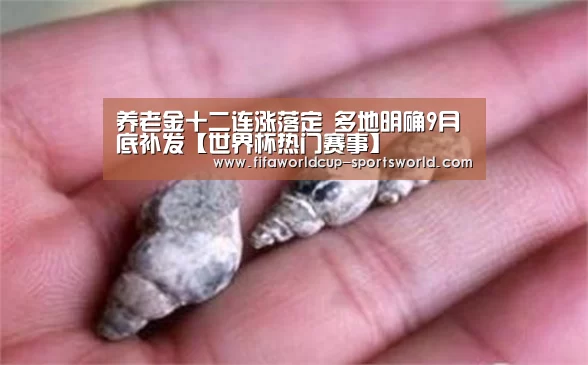 养老金十二连涨落定 多地明确9月底补发【世界杯热门赛事】(图4) FIFA World Cup