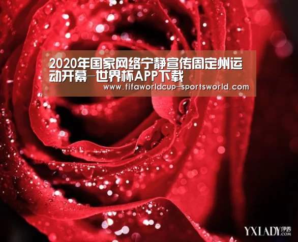 2020年国家网络宁静宣传周定州运动开幕-世界杯APP下载(图2) 世界杯APP下载
