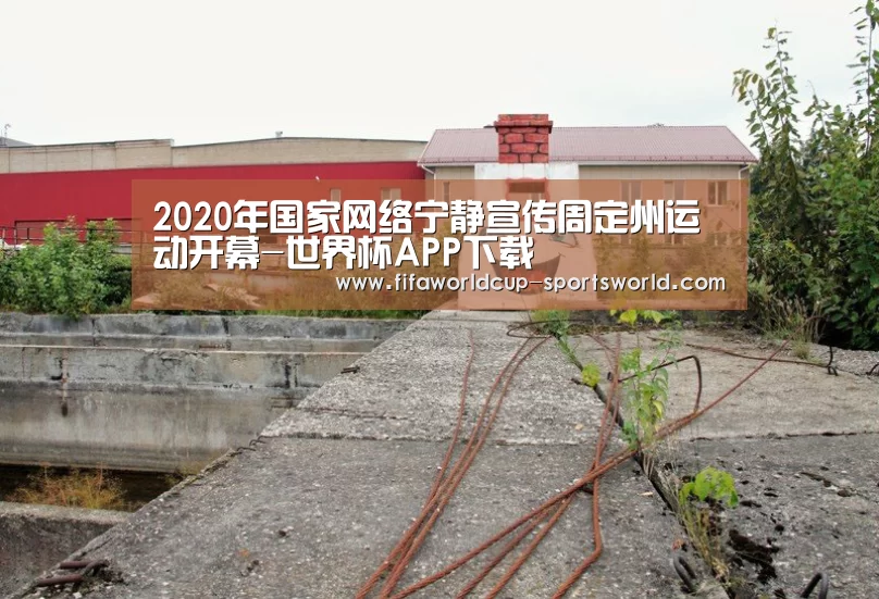 2020年国家网络宁静宣传周定州运动开幕-世界杯APP下载(图3) 世界杯APP下载