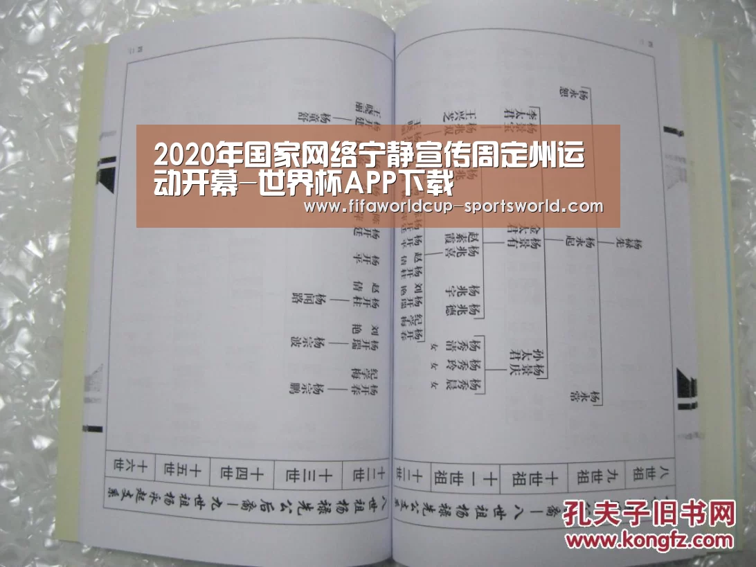2020年国家网络宁静宣传周定州运动开幕-世界杯APP下载(图1) FIFA World Cup