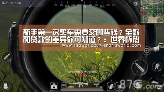 新手第一次买车需要交哪些钱?全款和贷款的差异你可知道?:世界杯热门赛事(图3) FIFA World Cup
