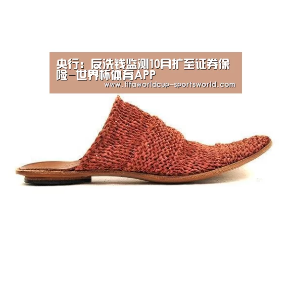 央行:反洗钱监测10月扩至证券保险-世界杯体育APP(图4) 世界杯APP下载