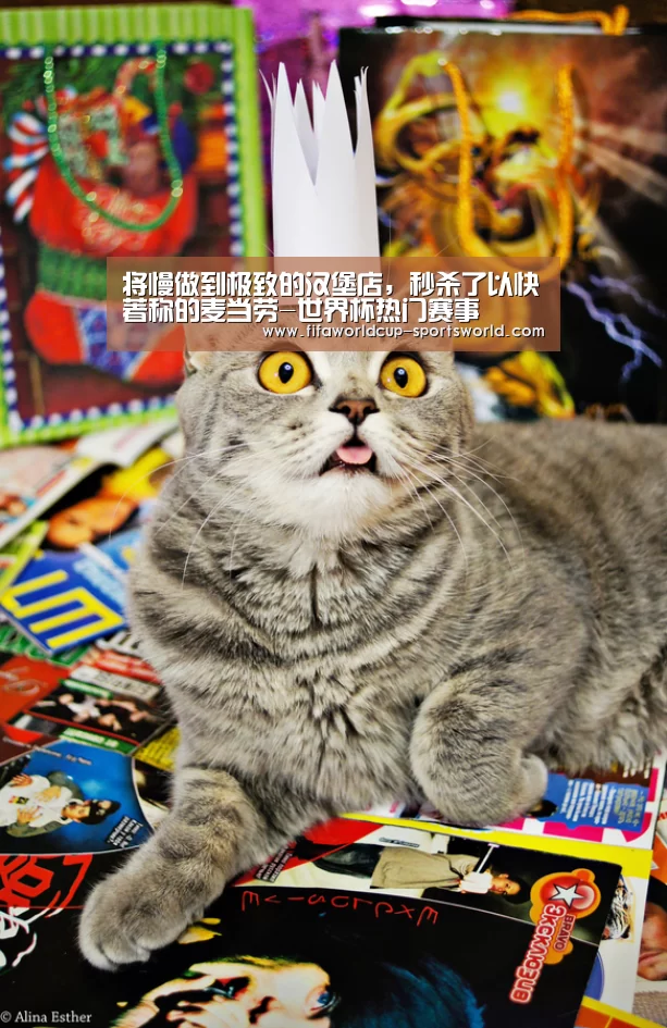 将慢做到极致的汉堡店,秒杀了以快著称的麦当劳-世界杯热门赛事(图4) 世界杯体育APP