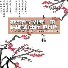 拉齐奥与马里奥·帕萨利奇好事近_世界杯APP下载(图1) 世界杯APP下载