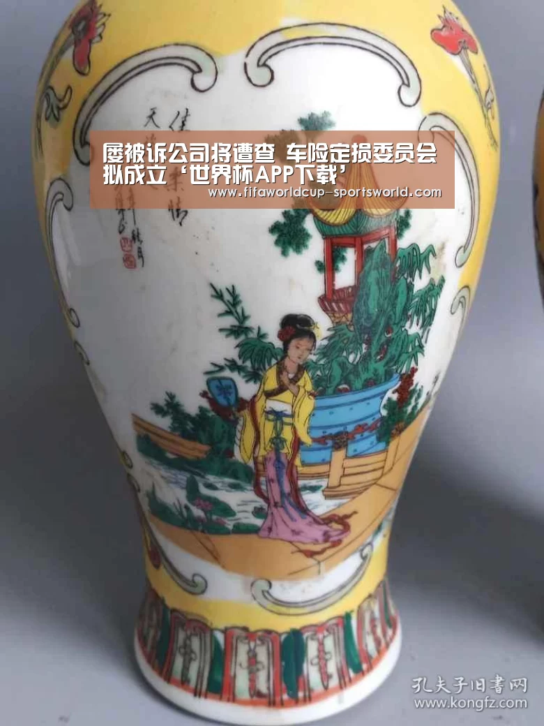 屡被诉公司将遭查 车险定损委员会拟成立‘世界杯APP下载’(图2) FIFA World Cup