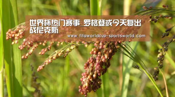 世界杯热门赛事_罗格登或今天复出战尼克斯(图2) 世界杯体育APP