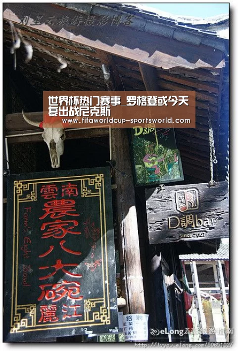 世界杯热门赛事_罗格登或今天复出战尼克斯(图3) 世界杯体育APP